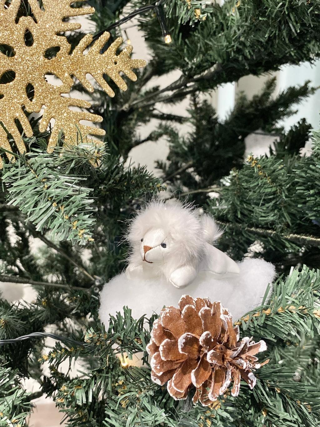 ショールームがクリスマス仕様になりました🎅