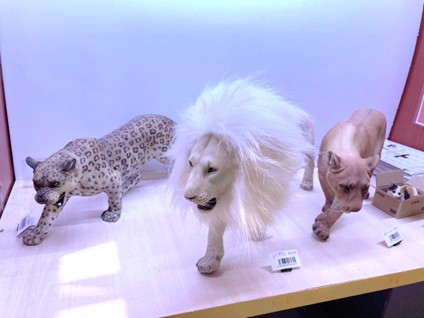 圧倒的存在感🦁