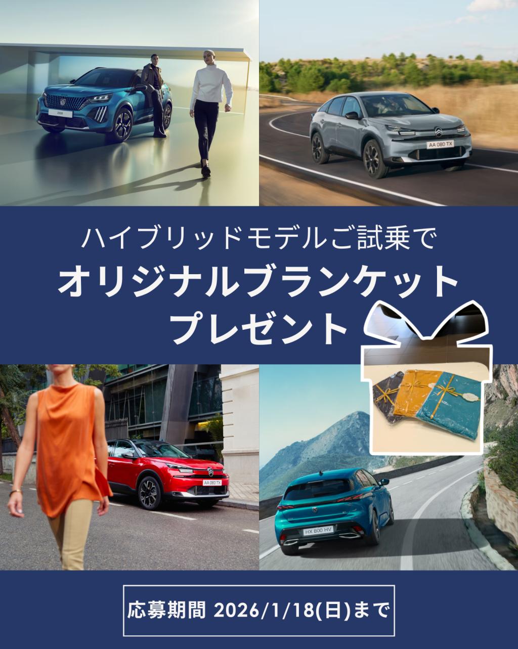 【 新春初売りフェア 】開催のお知らせ🎍✨