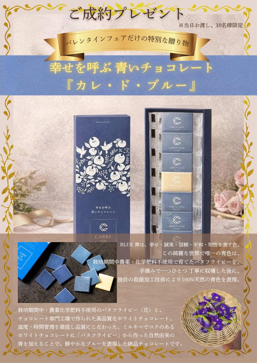 260130_VDご成約プレゼント (002).jpg