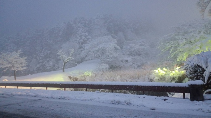 ウィンタースポーツの季節☃