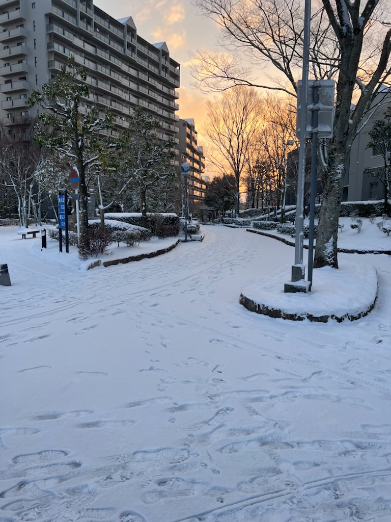 静かな夜は・・・