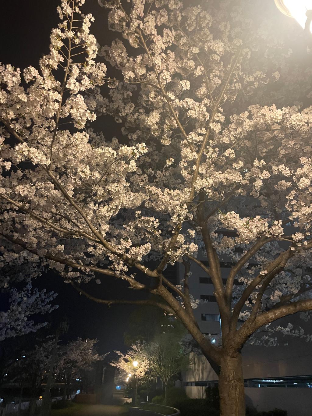 お仕事おわりに🌛