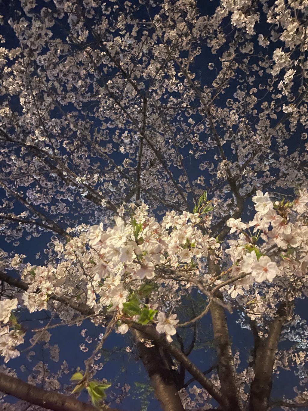 お仕事おわりに🌛