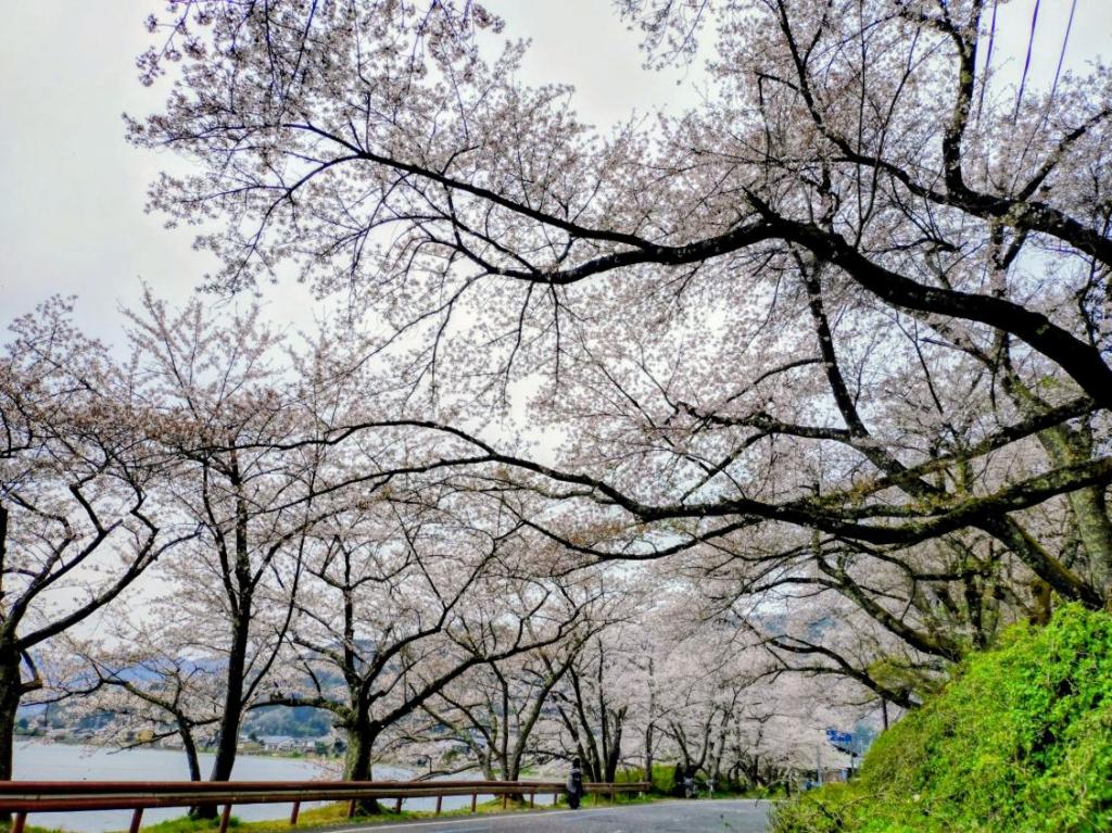 サービス植田　ツーリングレポート