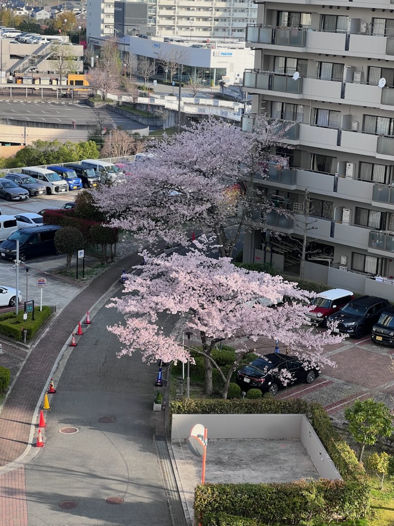 あっという間に季節が