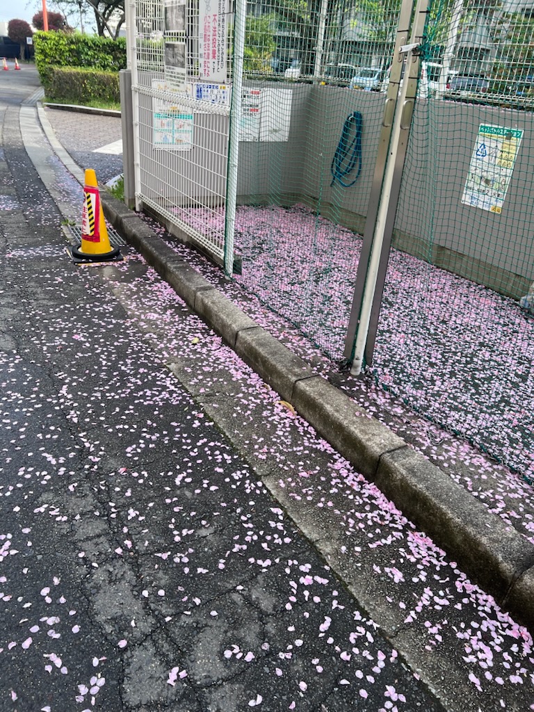 あっという間に季節が