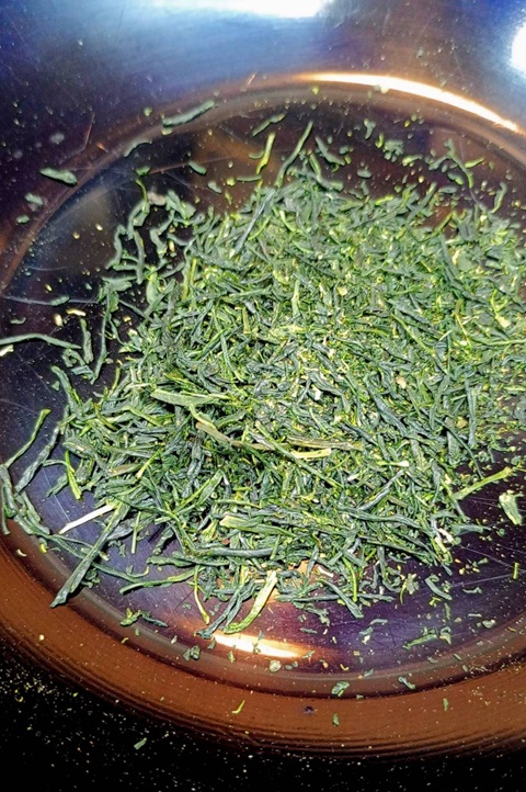 新茶を求めて、初夏の京都へ 🌿✨