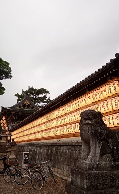 雨上がりの北野天満宮と、蜷川実花さんの世界 📸
