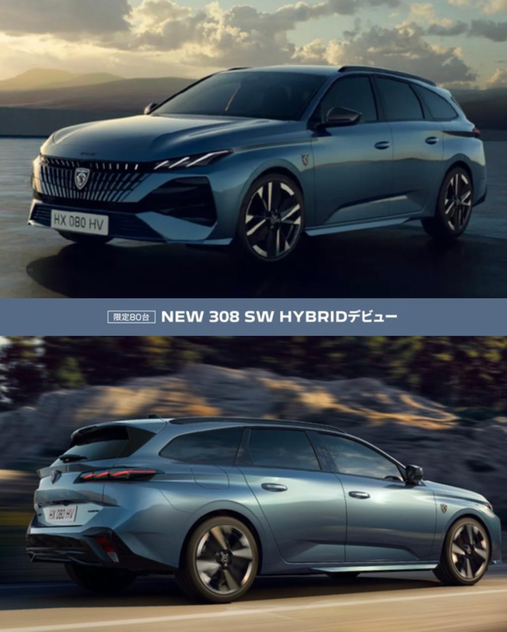 NEW 308SW HYBRID
