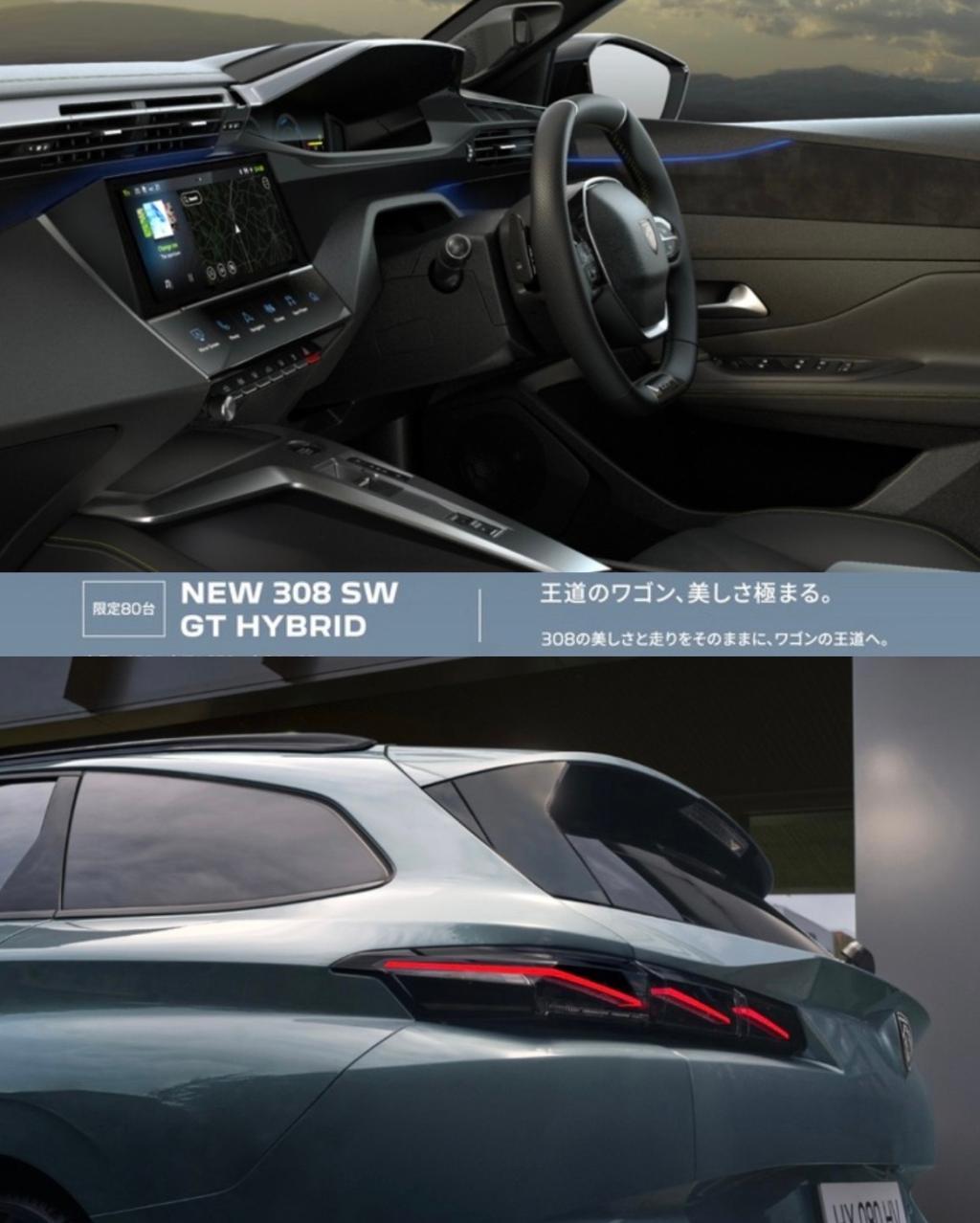 NEW 308SW HYBRID
