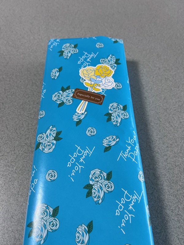 デビューしました。