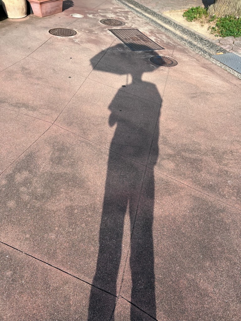 デビューしました。