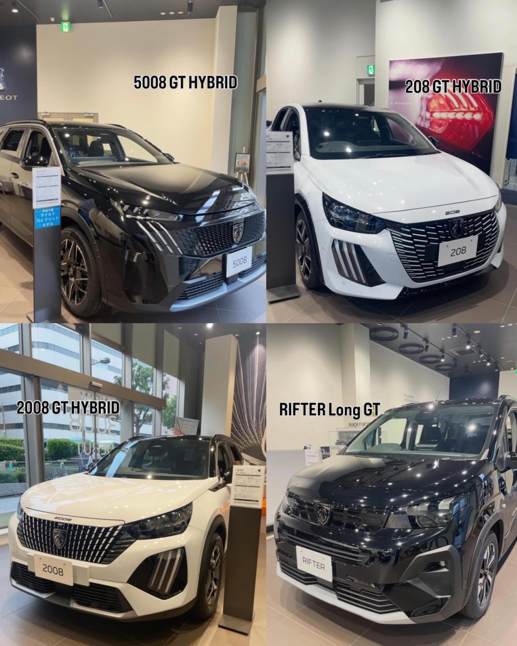 ショールーム展示車🚘